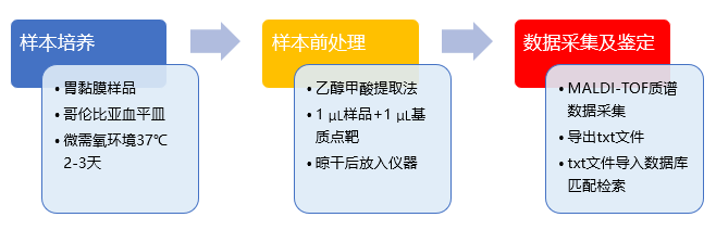 5.png