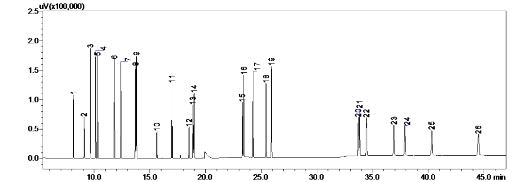 8.png