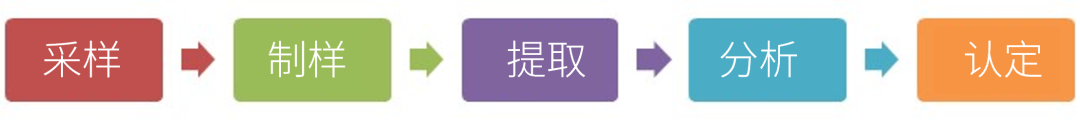 11.png