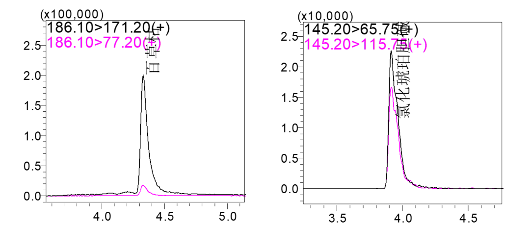 12.png
