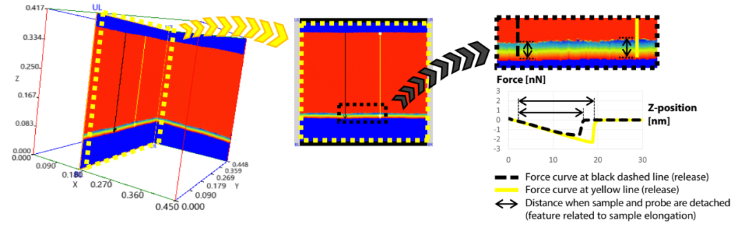 7.png