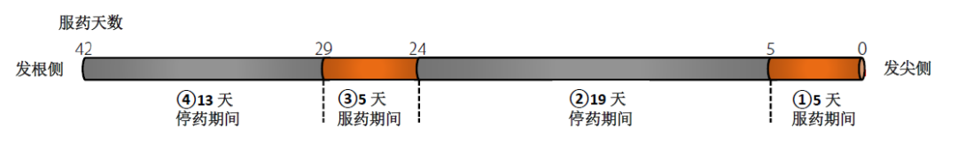 13.png