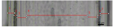 8.png